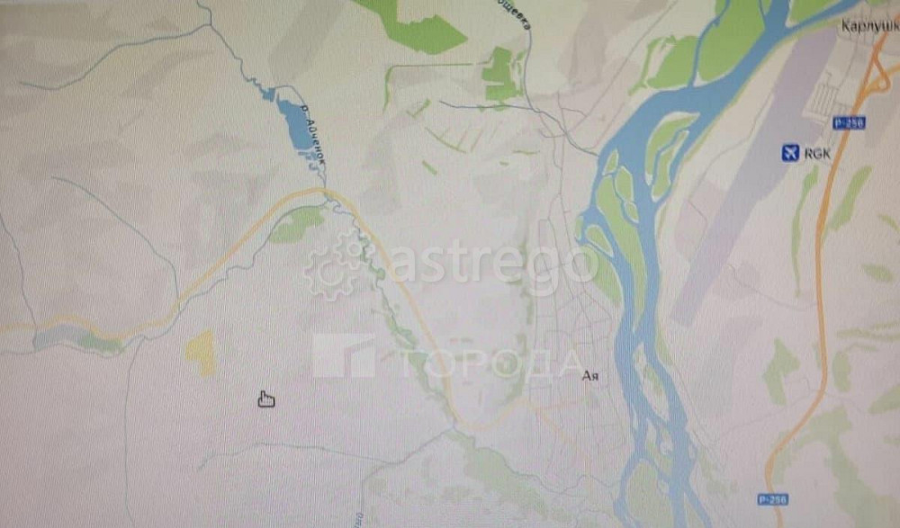 Коммерческий участок, 9.2 га Алтайское - изображение 4