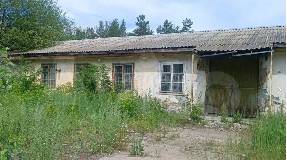 Продам Складское Помещение, 823.3 м2 Димитровград - изображение 4