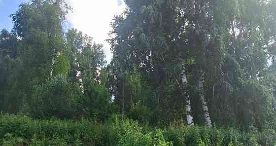 Дом, 30 м2, 9 соток, 1 эт. Горно-Алтайск