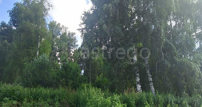 Дом, 30 м2, 9 соток, 1 эт. Горно-Алтайск - изображение 5