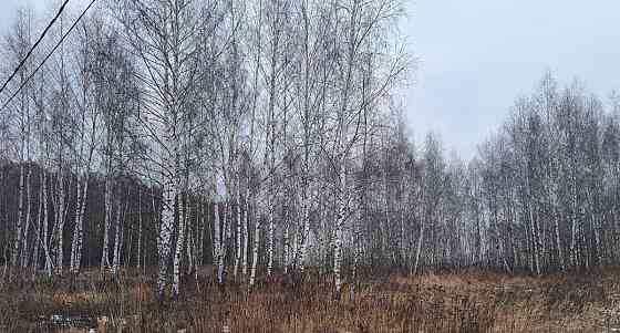 Земельный участок, 11.49 сотки Кашира