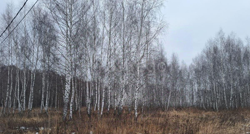 Земельный участок, 11.49 сотки Кашира - изображение 1