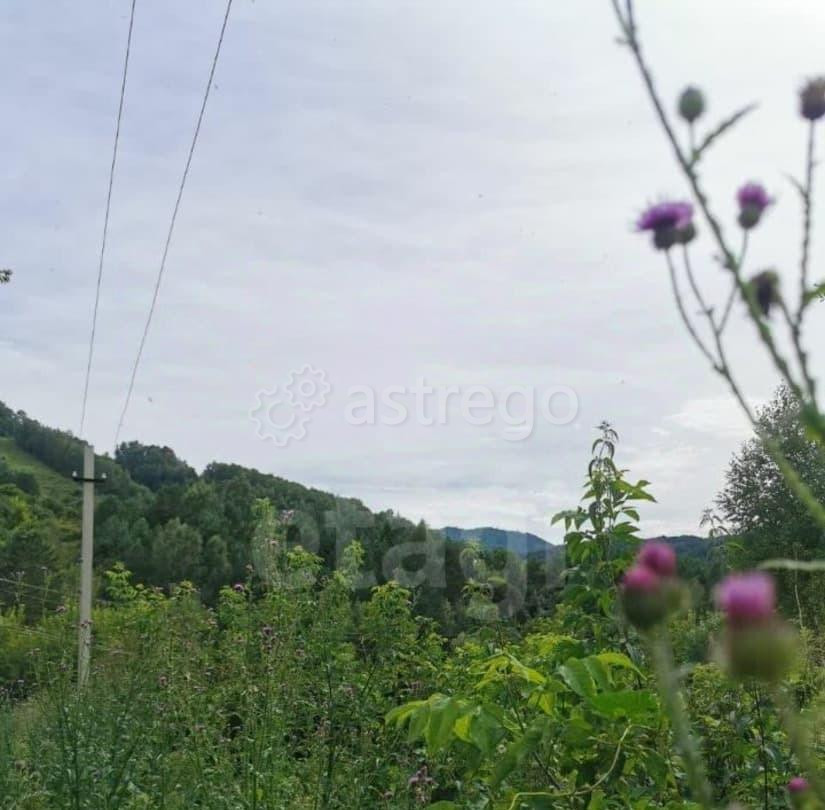 Земельный участок, 15.43 сотки Белокуриха - изображение 1
