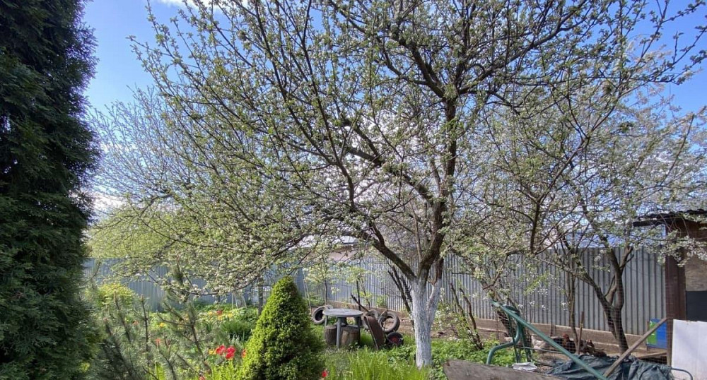 Дом, 423.2 м2, 20 соток, 2 эт. Подольск - изображение 3