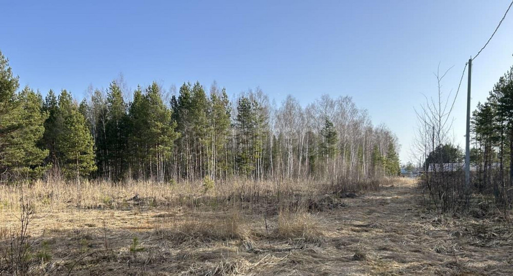 Коттедж, 500 м2, 3.3 га, 2 эт. Электрогорск - изображение 5