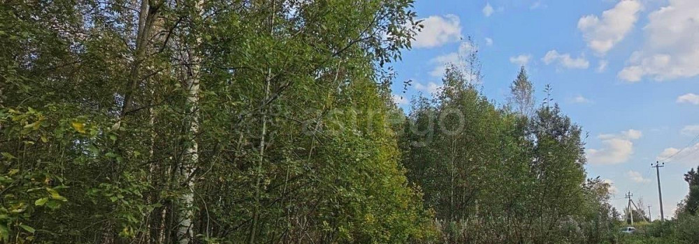 Земельный участок, 7.63 сотки Краснозаводск - изображение 2