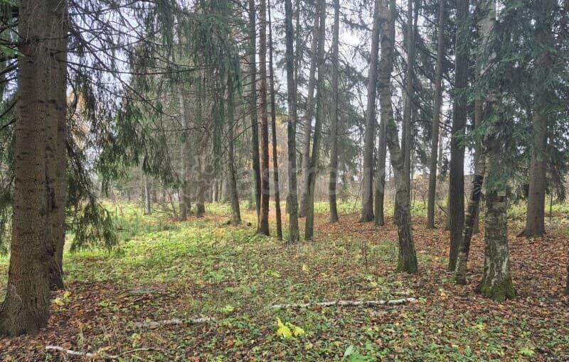 Коммерческий участок, 8.39 га Можайск - изображение 9