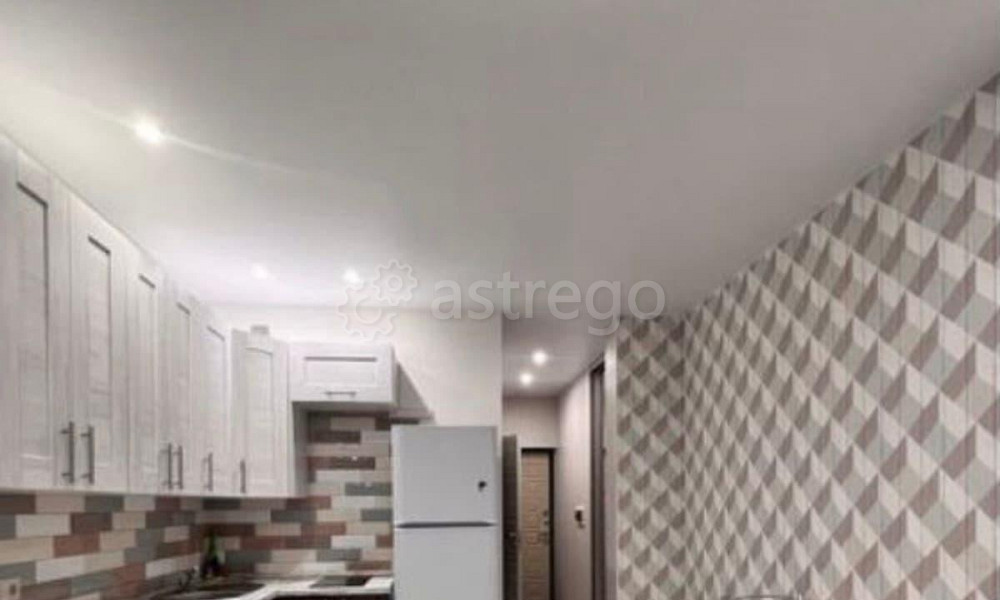 Студия, 23.5 м2, 8/25 эт. Долгопрудный - изображение 5