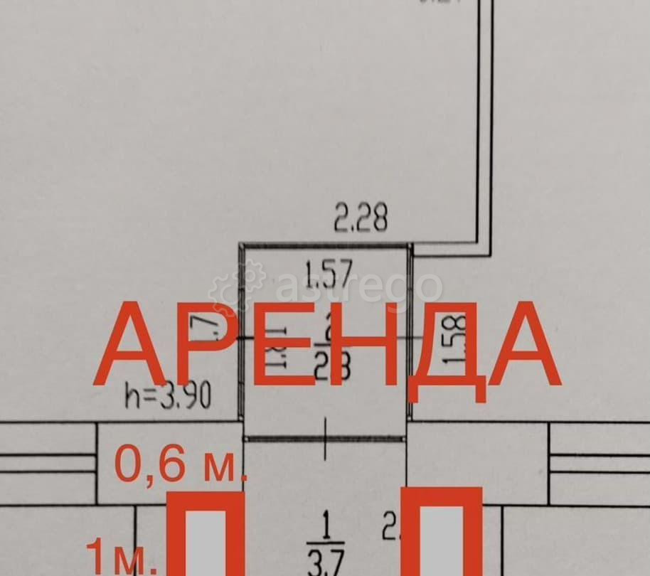 Свободного назначения, 1 м2 Барнаул - изображение 1