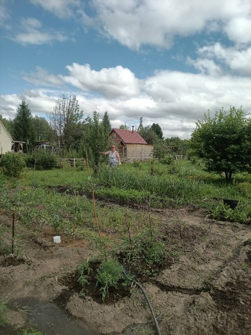 Участок, ИЖС, 11 сот. Новосибирск - изображение 9