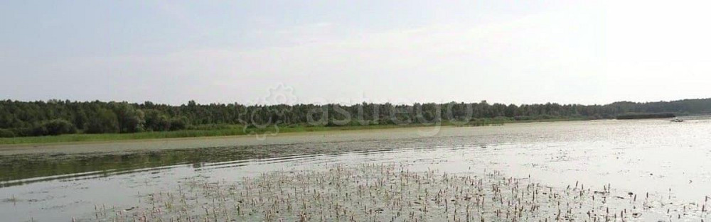 Коммерческий участок, 1.44 га Камень-на-Оби - изображение 3