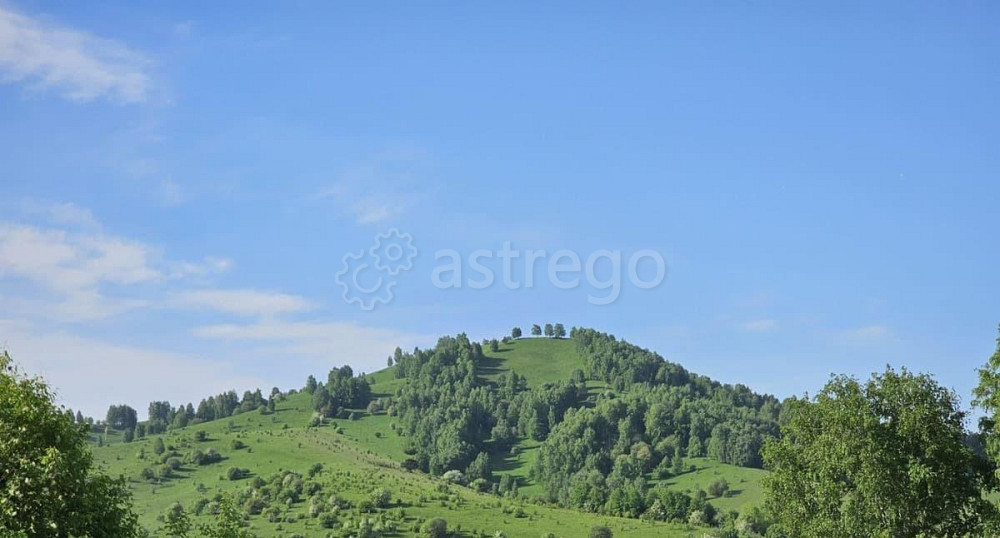 Коттедж, 90 м2, 10 соток, 1 эт. Алтайское - изображение 5