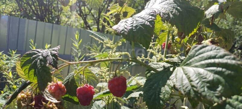 Дача, 40 м2 Ожерелье - изображение 2