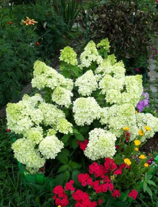 Коттедж, 220 м2, 12 соток, 3 эт. Белогорск - изображение 7