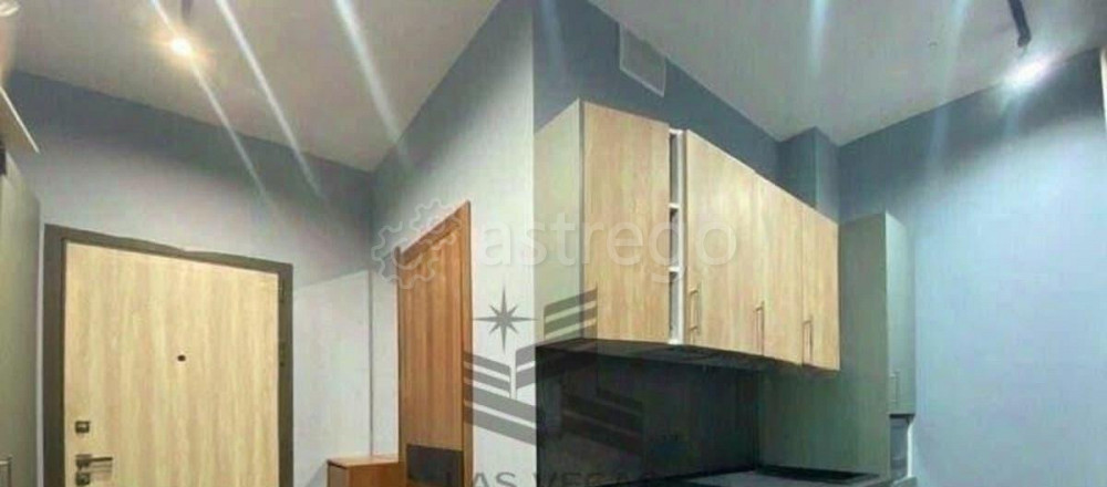 Студия, 26 м2, 21/24 эт. Москва - изображение 5