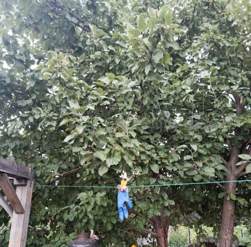 Дом, 20 м2, 2 сотки, 1 эт. Бийск - изображение 2