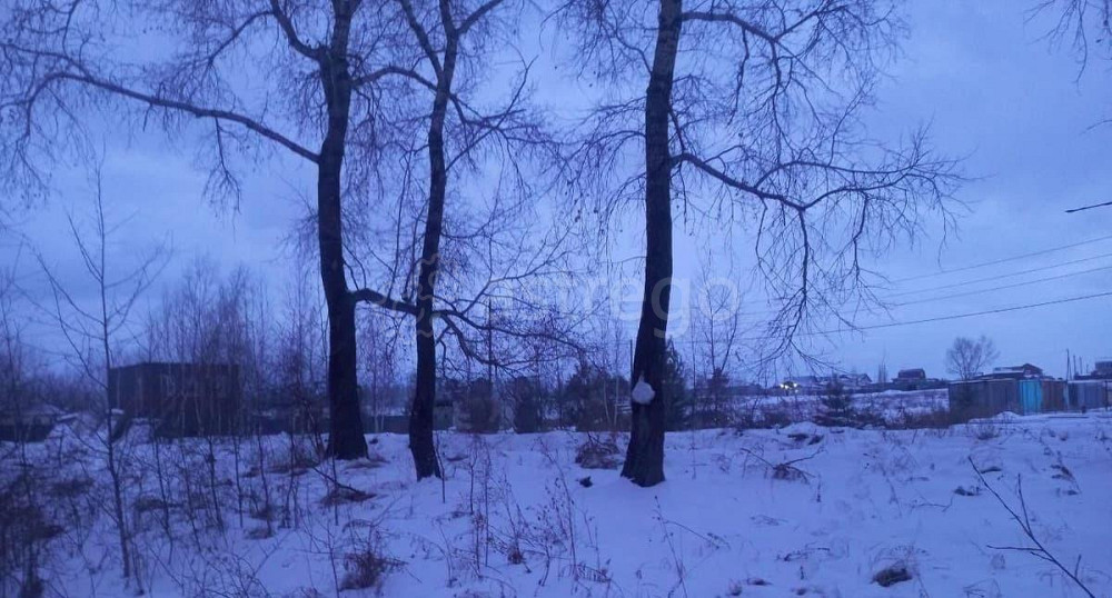 Земельный участок, 9.67 га Березовка - изображение 4