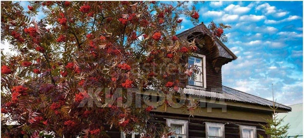 Дом, 63.4 м2, 11 соток, 1 эт. Онега - изображение 5