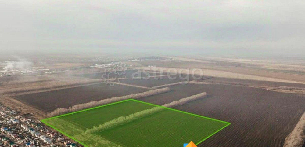 Коммерческий участок, 42.65 га Барнаул - изображение 2