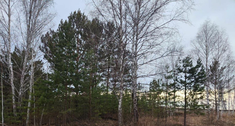 Земельный участок, 10.3 сотки Сосновоборск - изображение 2
