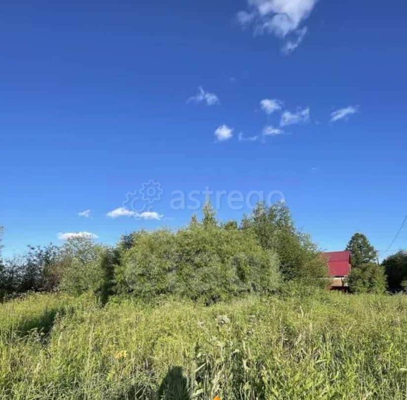 Земельный участок, 10 соток Котлас - изображение 3