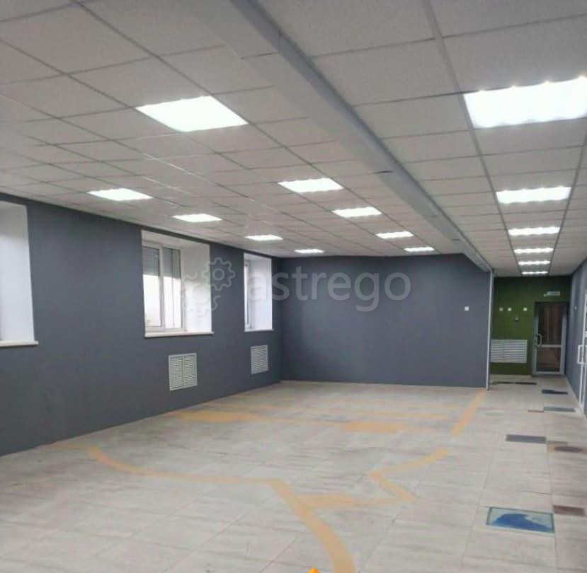 Свободного назначения, 315 м2 Барнаул - изображение 4