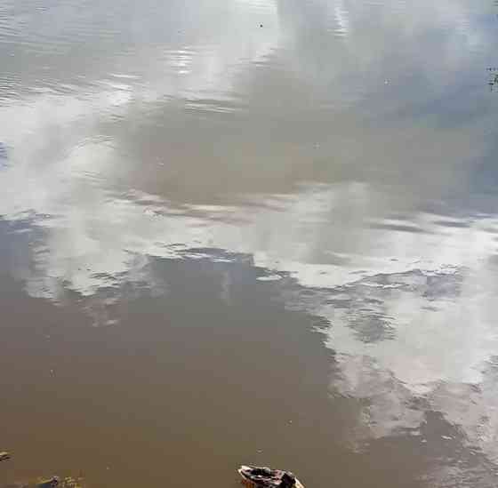 Дом, 50 м2, 7 соток, 2 эт. Архангельск