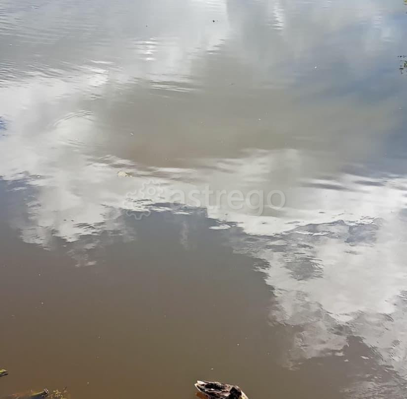 Дом, 50 м2, 7 соток, 2 эт. Архангельск - изображение 2