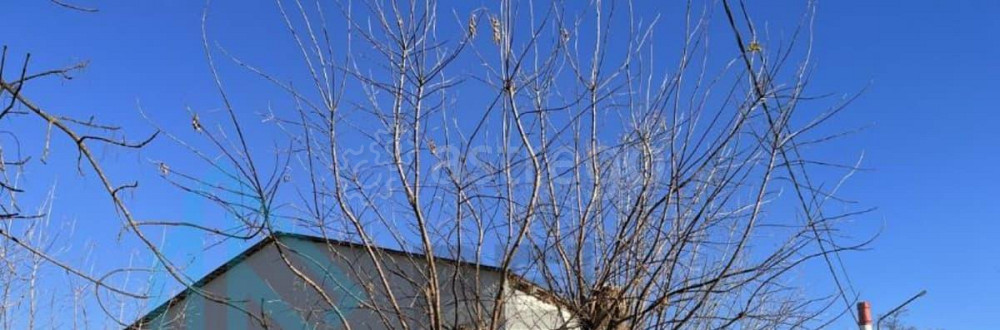 Свободного назначения, 452.8 м2 Шатура - изображение 2