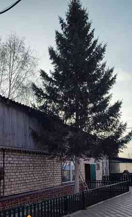 Коттедж, 259 м2, 10.5 сотки, 2 эт. Ачинск