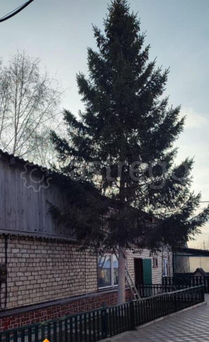 Коттедж, 259 м2, 10.5 сотки, 2 эт. Ачинск - изображение 2