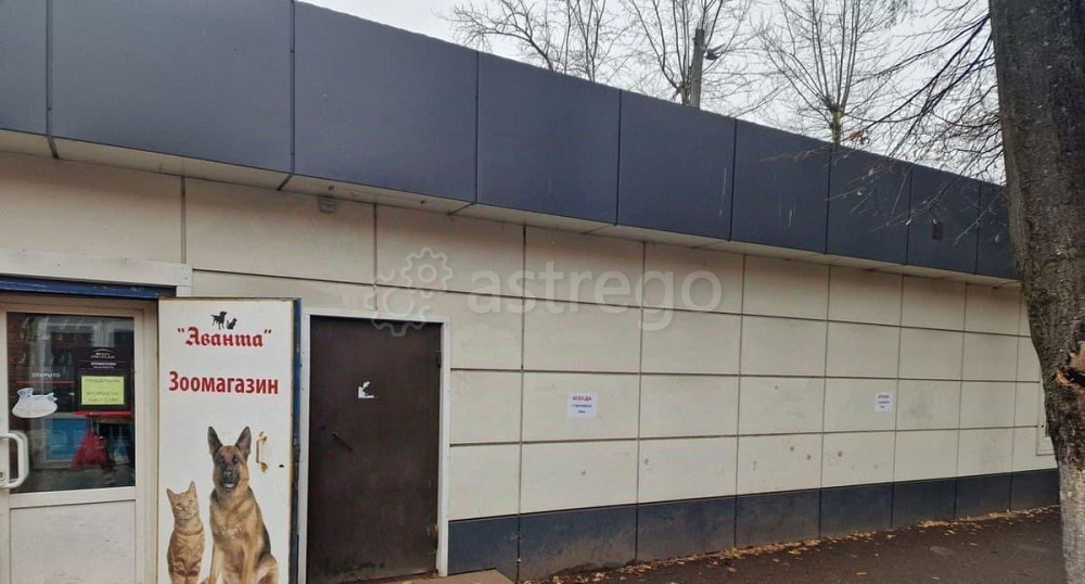 Свободного назначения, 25 м2 Пушкино - изображение 1