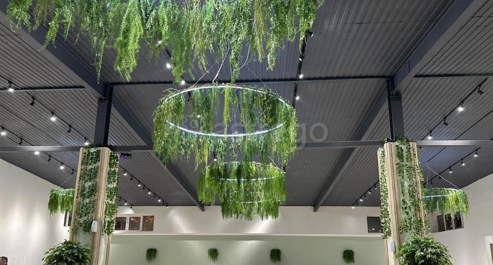 Свободного назначения, 435 м2 Красноярск - изображение 1