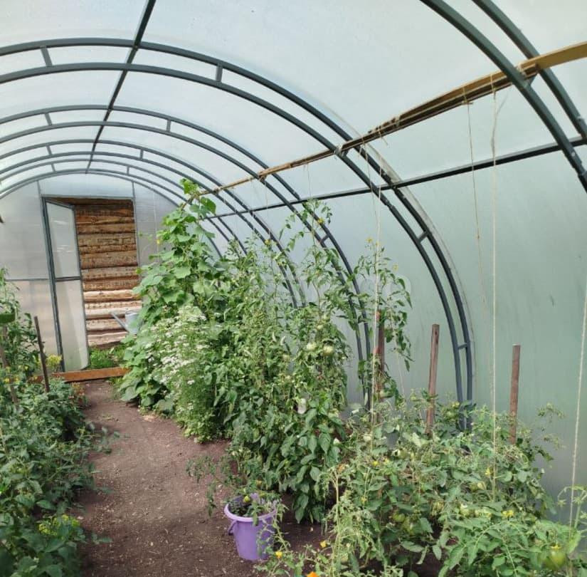 Дом, 65.6 м2, 10 соток, 1 эт. Балахта - изображение 7