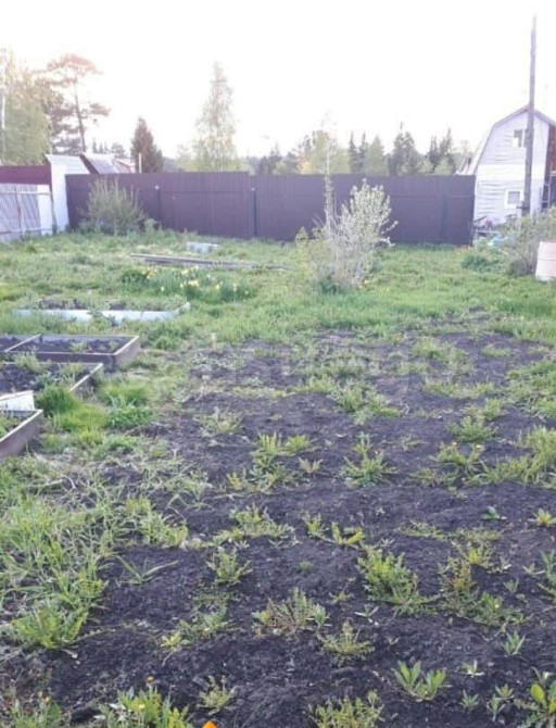 Земельный участок, 6.2 сотки Емельяново - изображение 2