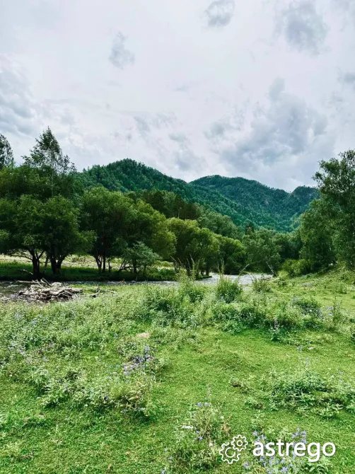 Участок, ИЖС, 25.7 сот. Горно-Алтайск - изображение 7