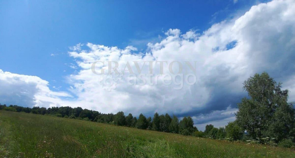 Земельный участок, 8 соток Майма - изображение 1