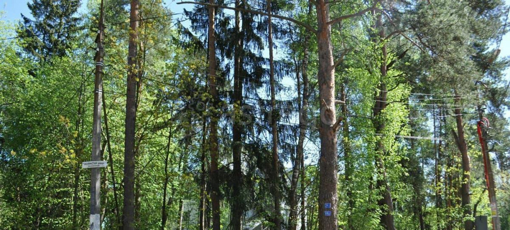 Земельный участок, 19.8 сотки Санкт-Петербург - изображение 2