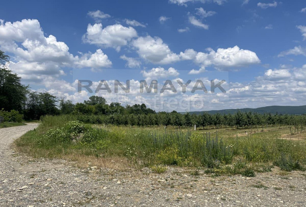 Торговое помещение, 180000 м Тульский - изображение 4