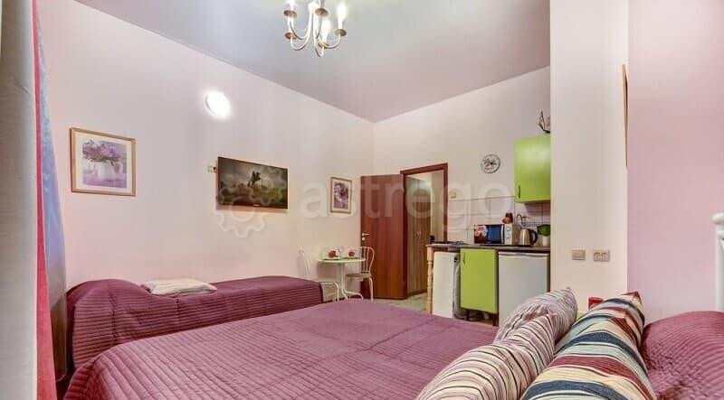 Студия, 25 м2, 1/5 эт. Санкт-Петербург - изображение 6