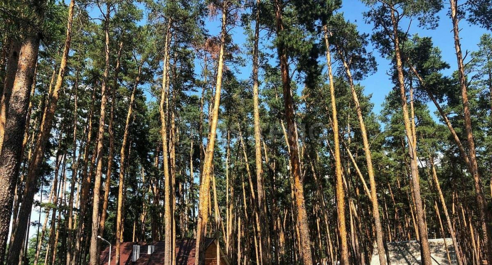 Готовый бизнес, 17000 м2 Шебекино - изображение 1