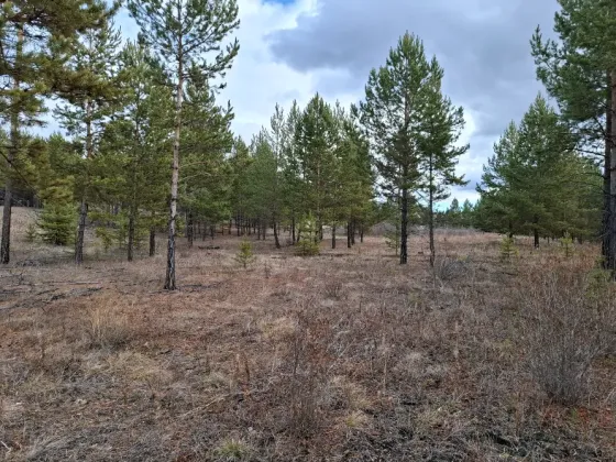 Продам участок, Садовый 16 соток Улан-Удэ