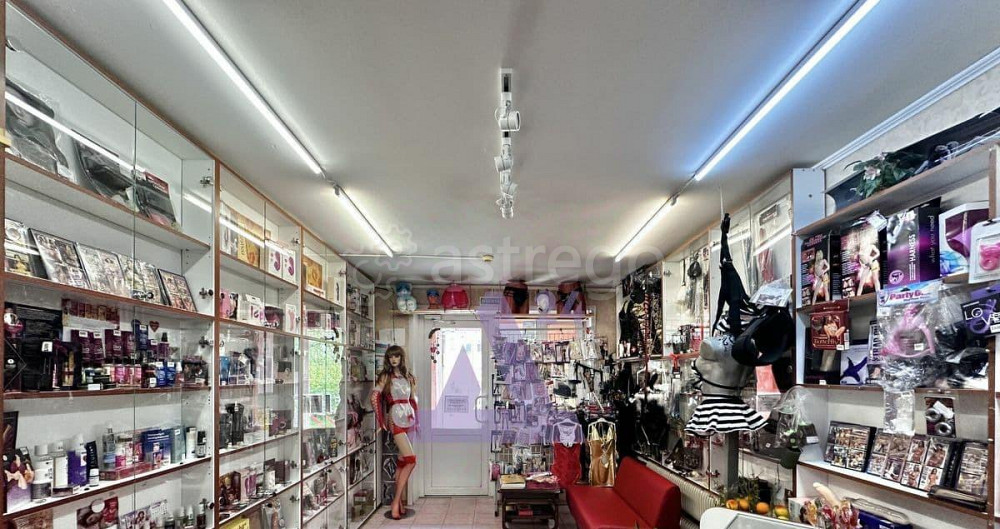 Свободного назначения, 33.3 м2 Барнаул - изображение 1