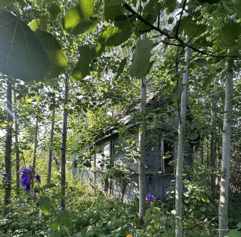 Земельный участок, 8 соток Санкт-Петербург - изображение 6