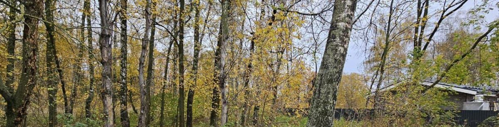 Коммерческий участок, 10 соток Луховицы - изображение 2