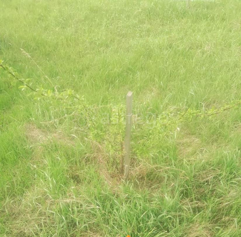 Земельный участок, 8 соток Сосновоборск - изображение 1