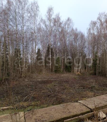 Земля с/х назначения, 7.8 сотки Солнечногорск - изображение 6