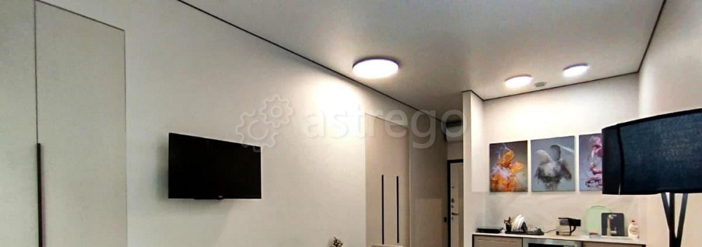 Студия, 26 м2, 7/33 эт. Москва - изображение 6