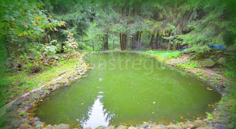 Коттедж, 1000 м2 Солнечногорск - изображение 4