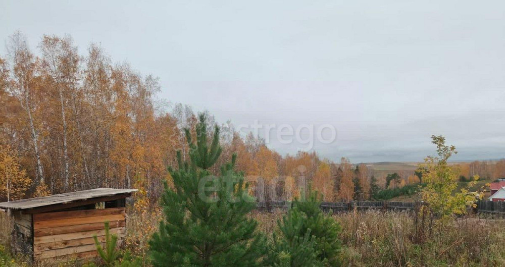 Земельный участок, 16.87 сотки Березовка - изображение 3